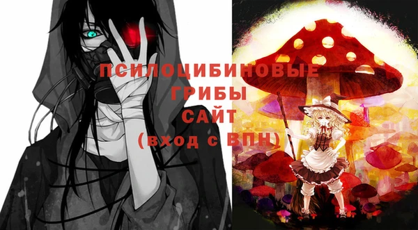 Альфа ПВП Богородск