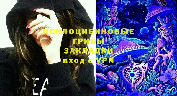 Альфа ПВП Богородск