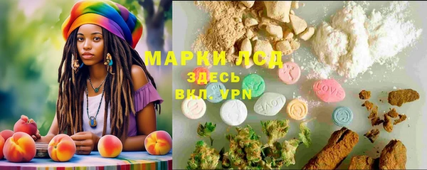 spice Богданович