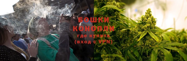 таблы Богородицк