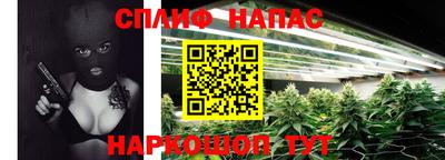 амф Заволжье