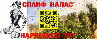 амф Заволжье