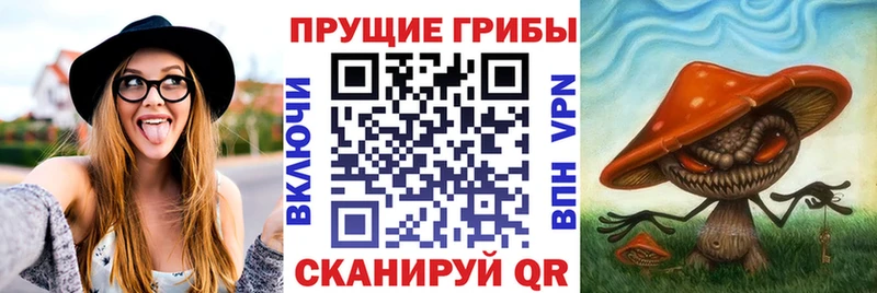 Галлюциногенные грибы ЛСД  Среднеуральск 